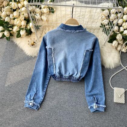 Chic Denim Long-sleeved Cropped Top