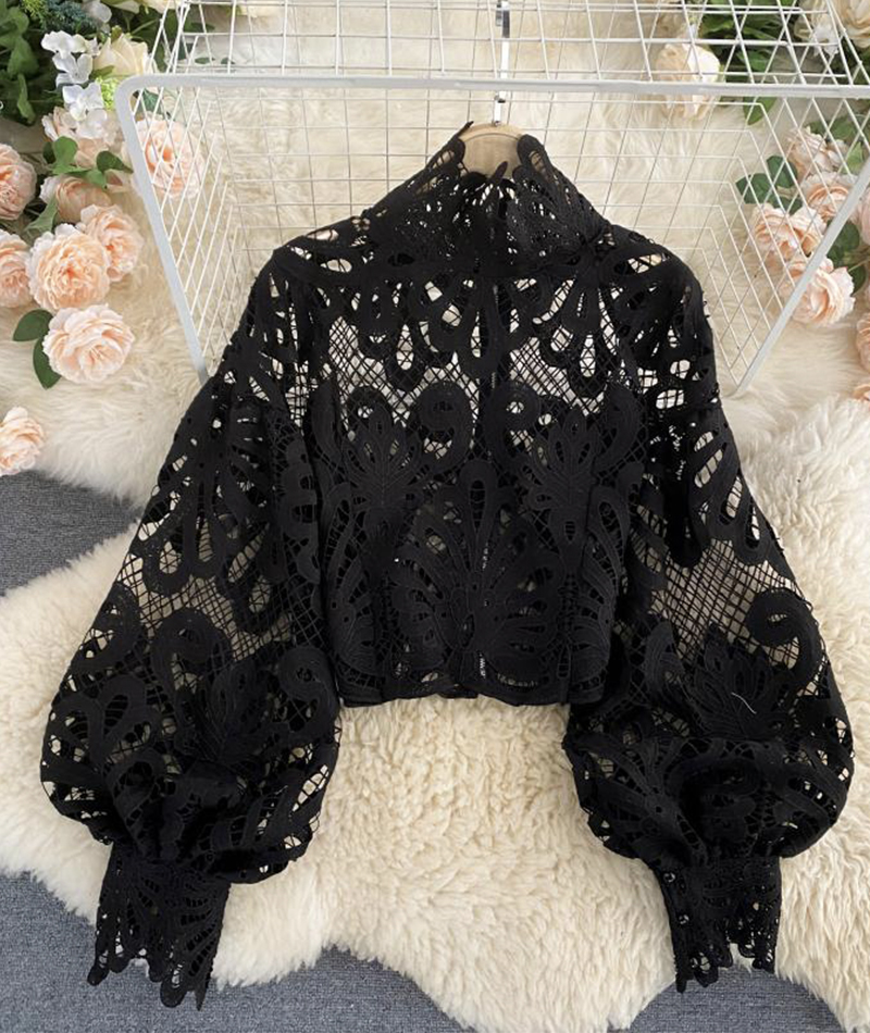 Stylish hollow lace top puff sleeve top