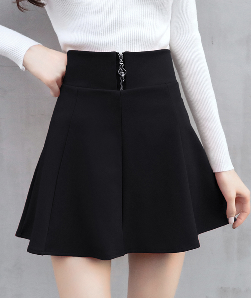 Stylish A Line Short Skirt on Luulla