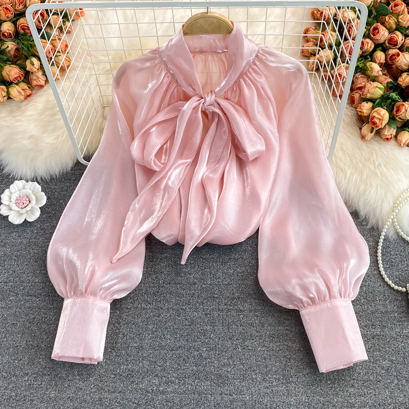 Lovely Bow-knot Long-sleeved Top
