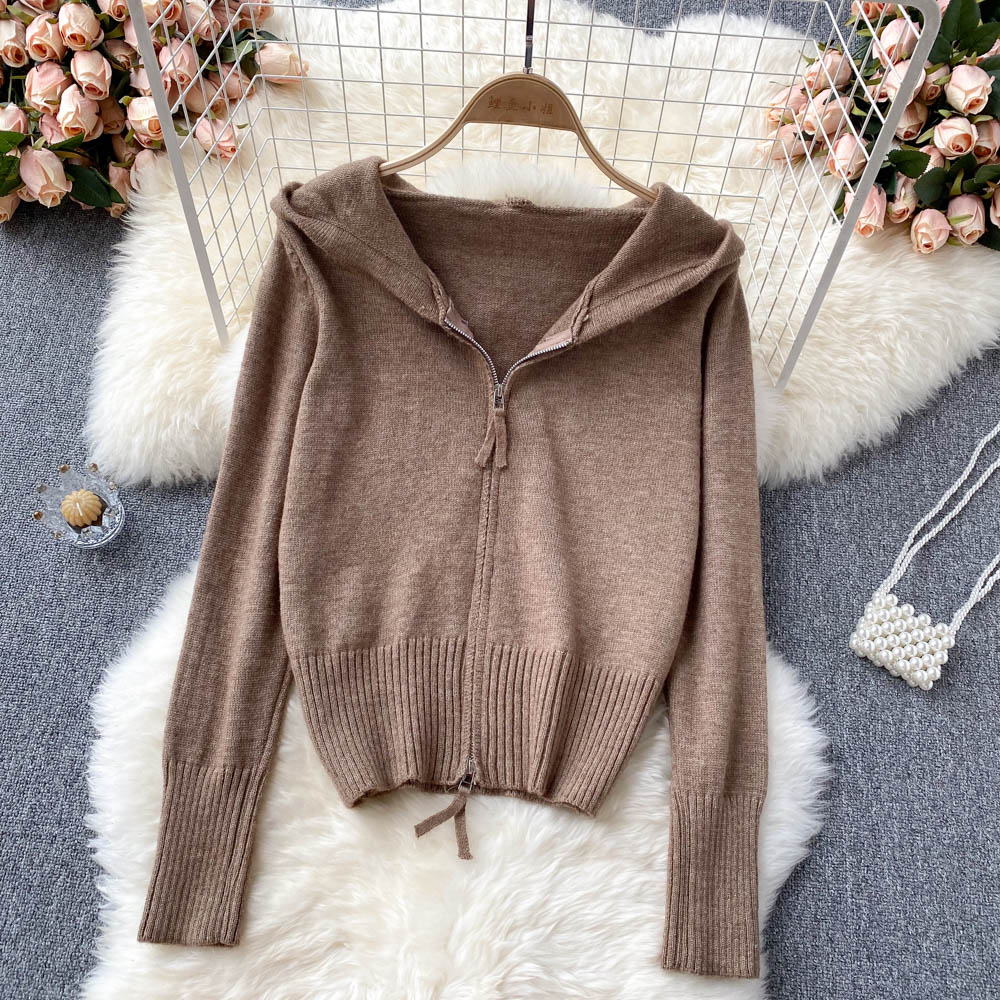 Cute Hooded Short Knitted Top