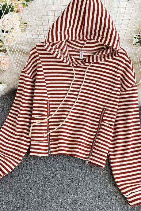 Cute striped hoodie
