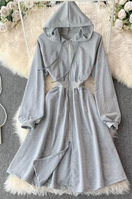 Simple A Line Long Sleeve Hoodie Dress