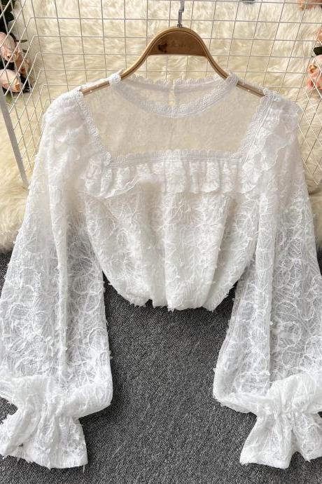Lovely see-through long-sleeved lace top